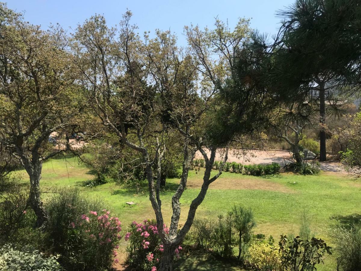 Porto-Vecchio Baie Santa Giulia Appartement Une Chambre 4-5 Personnes Екстер'єр фото