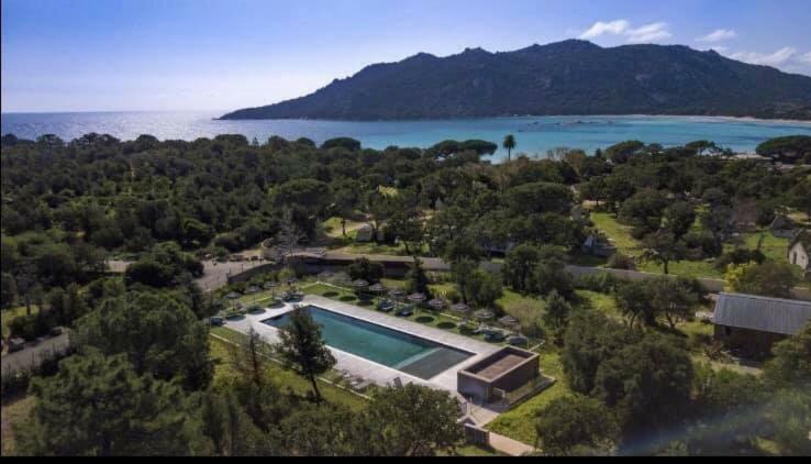 Porto-Vecchio Baie Santa Giulia Appartement Une Chambre 4-5 Personnes Екстер'єр фото